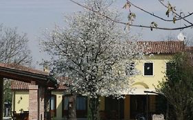 Particolari del Brenta
